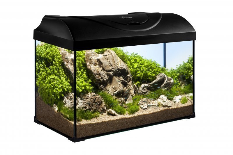 Akvariovy_set_oval_50x25x30cm_4mm_10W_37,5l_ Diversa.jpg Akvariovy_set_oval_50x25x30cm_4mm_10W_37,5l_ Diversa.jpg