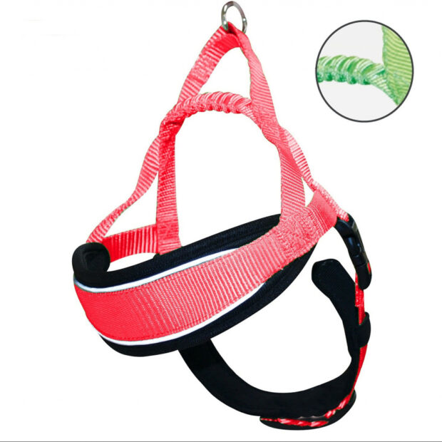 Postroj_Hiking_Orange_s_ruckou_L_62-70cm.jpg