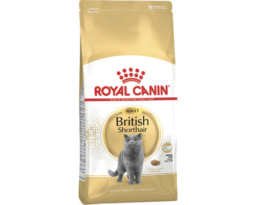 ROYAL_CANINFBN_BRITISH_SHORTHAIR_2K.jpg ROYAL_CANINFBN_BRITISH_SHORTHAIR_2K.jpg