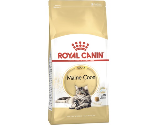 ROYAL_CANINFBN_MAINE_COON_2K.jpg ROYAL_CANINFBN_MAINE_COON_2K.jpg
